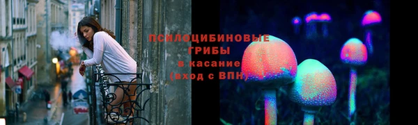 герыч Арсеньев