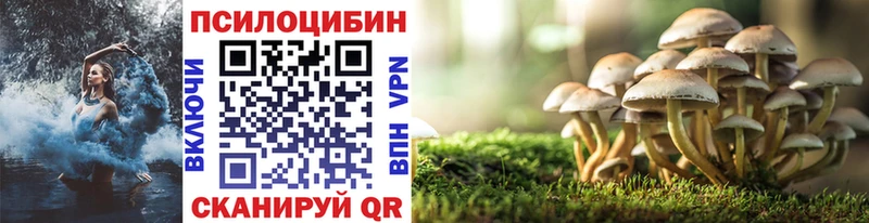 маркетплейс клад  Аркадак  Псилоцибиновые грибы MAGIC MUSHROOMS  где продают наркотики 